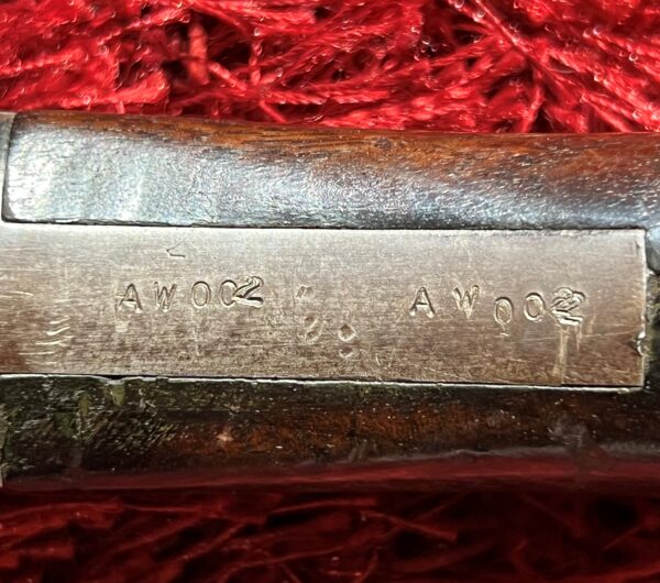 Armory Gun Co./Mutiny Machine 12 Gauge Short Barreled Shotgun - Image 4